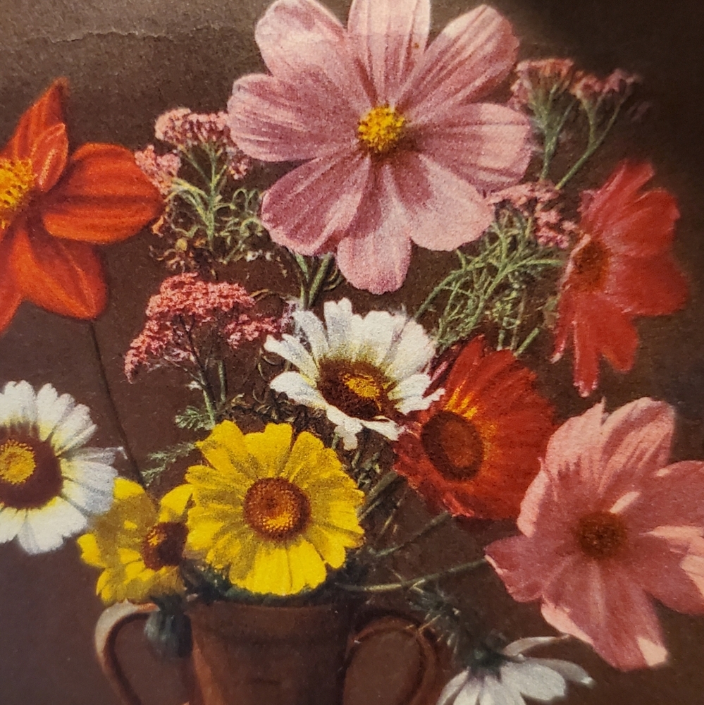 Meet your Posher, Lorraine